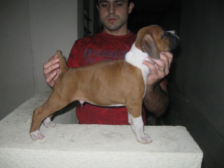 Eron - Belo Horizonte - MG